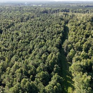 Photo #37 of 5200 Kershaw, Oriental, NC 122.8 acres