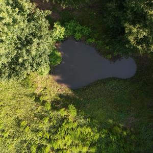 Photo #15 of 5200 Kershaw, Oriental, NC 122.8 acres