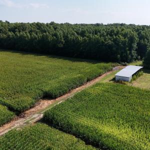 Photo #61 of 5200 Kershaw, Oriental, NC 122.8 acres