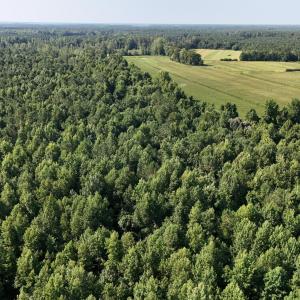 Photo #11 of 5200 Kershaw, Oriental, NC 122.8 acres