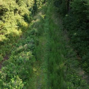 Photo #38 of 5200 Kershaw, Oriental, NC 122.8 acres