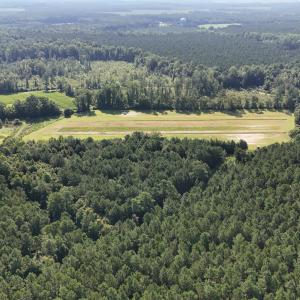 Photo #52 of 5200 Kershaw, Oriental, NC 122.8 acres