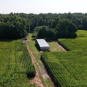 Photo #16 of 5200 Kershaw, Oriental, NC 122.8 acres