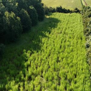Photo #30 of 5200 Kershaw, Oriental, NC 122.8 acres