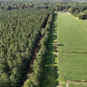 Photo #9 of 5200 Kershaw, Oriental, NC 122.8 acres
