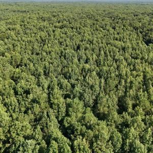 Photo #48 of 5200 Kershaw, Oriental, NC 122.8 acres