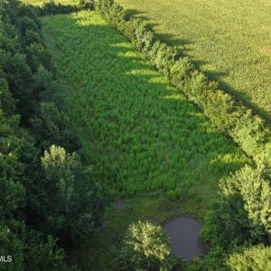Photo #33 of 5200 Kershaw, Oriental, NC 122.8 acres