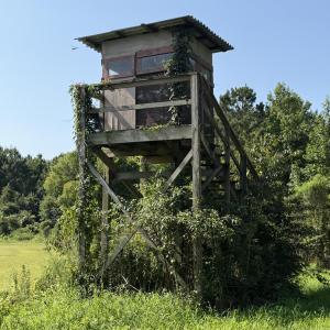 Photo #53 of 5200 Kershaw, Oriental, NC 122.8 acres