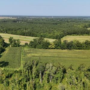 Photo #56 of 5200 Kershaw, Oriental, NC 122.8 acres