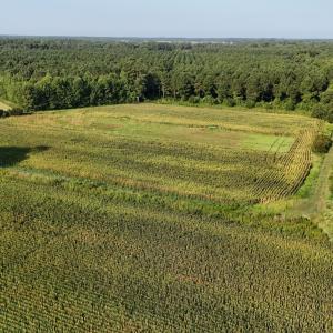 Photo #46 of 5200 Kershaw, Oriental, NC 122.8 acres