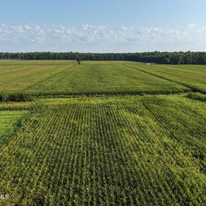 Photo #21 of 5200 Kershaw, Oriental, NC 122.8 acres