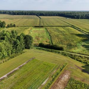 Photo #1 of 5200 Kershaw, Oriental, NC 122.8 acres
