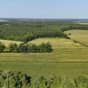 Photo #20 of 5200 Kershaw, Oriental, NC 122.8 acres