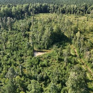 Photo #27 of 5200 Kershaw, Oriental, NC 122.8 acres
