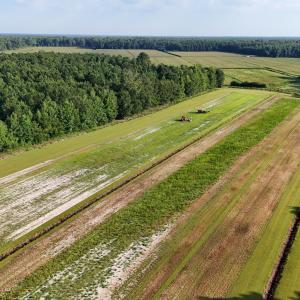 Photo #62 of 5200 Kershaw, Oriental, NC 122.8 acres
