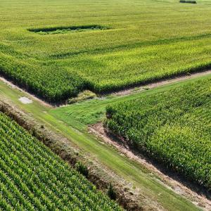 Photo #7 of 5200 Kershaw, Oriental, NC 122.8 acres
