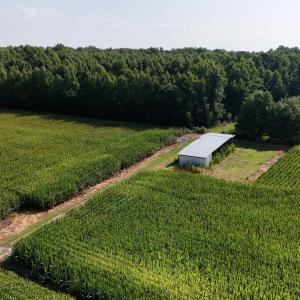 Photo #42 of 5200 Kershaw, Oriental, NC 122.8 acres