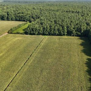 Photo #6 of 5200 Kershaw, Oriental, NC 122.8 acres
