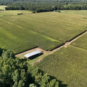 Photo #3 of 5200 Kershaw, Oriental, NC 122.8 acres