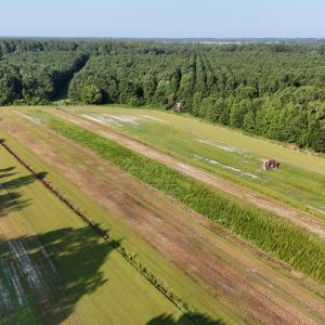 Photo #2 of 5200 Kershaw, Oriental, NC 122.8 acres