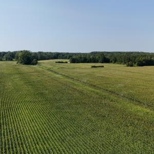 Photo #19 of 5200 Kershaw, Oriental, NC 122.8 acres