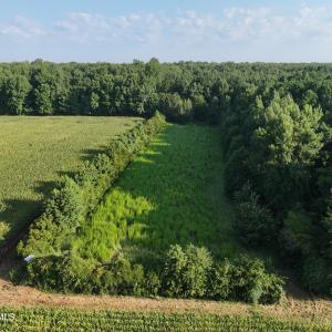 Photo #5 of 5200 Kershaw, Oriental, NC 122.8 acres