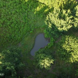 Photo #39 of 5200 Kershaw, Oriental, NC 122.8 acres