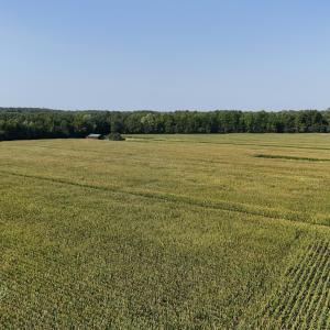 Photo #49 of 5200 Kershaw, Oriental, NC 122.8 acres