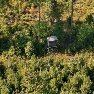 Photo #41 of 5200 Kershaw, Oriental, NC 122.8 acres