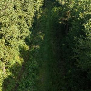 Photo #58 of 5200 Kershaw, Oriental, NC 122.8 acres