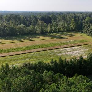 Photo #57 of 5200 Kershaw, Oriental, NC 122.8 acres
