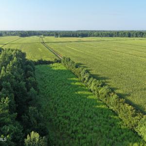 Photo #32 of 5200 Kershaw, Oriental, NC 122.8 acres
