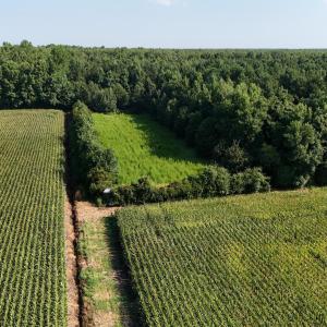 Photo #23 of 5200 Kershaw, Oriental, NC 122.8 acres