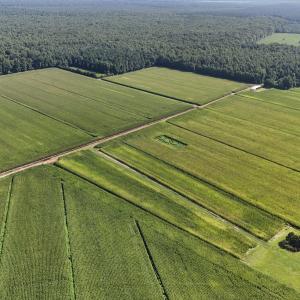 Photo #10 of 5200 Kershaw, Oriental, NC 122.8 acres
