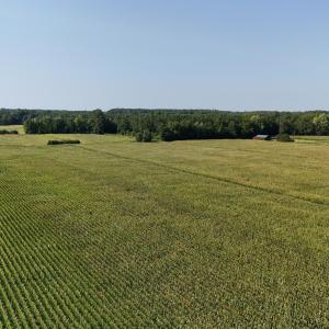 Photo #74 of 5200 Kershaw, Oriental, NC 122.8 acres