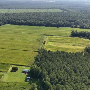 Photo #35 of 5200 Kershaw, Oriental, NC 122.8 acres