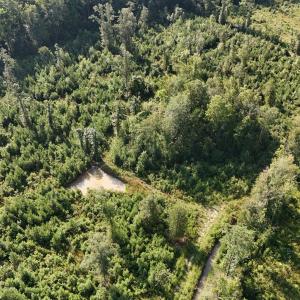 Photo #65 of 5200 Kershaw, Oriental, NC 122.8 acres