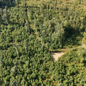 Photo #40 of 5200 Kershaw, Oriental, NC 122.8 acres