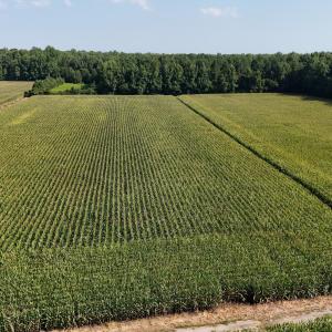 Photo #25 of 5200 Kershaw, Oriental, NC 122.8 acres