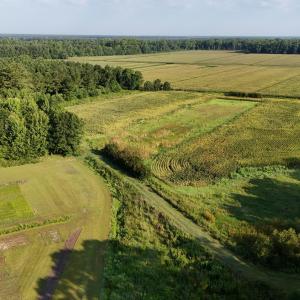 Photo #64 of 5200 Kershaw, Oriental, NC 122.8 acres