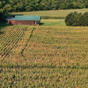 Photo #50 of 5200 Kershaw, Oriental, NC 122.8 acres