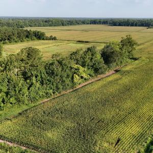 Photo #24 of 5200 Kershaw, Oriental, NC 122.8 acres