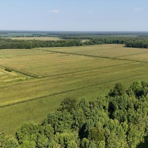 Photo #54 of 5200 Kershaw, Oriental, NC 122.8 acres