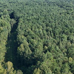 Photo #60 of 5200 Kershaw, Oriental, NC 122.8 acres