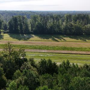 Photo #8 of 5200 Kershaw, Oriental, NC 122.8 acres