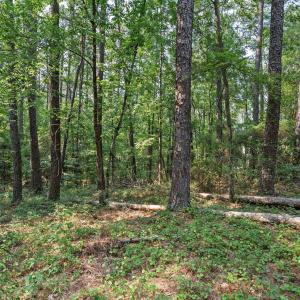 Photo #8 of 312 Melanie, McCormick, SC 0.3 acres