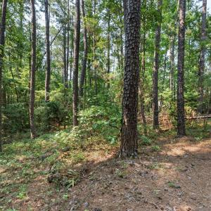 Photo #9 of 312 Melanie, McCormick, SC 0.3 acres