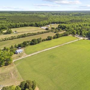 Photo #15 of 127 Nicodemus Kornegay, Albertson, NC 23.1 acres