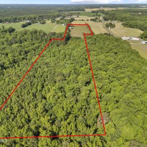Photo #17 of 127 Nicodemus Kornegay, Albertson, NC 23.1 acres