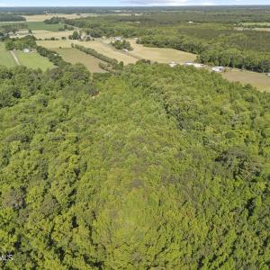 Photo #16 of 127 Nicodemus Kornegay, Albertson, NC 23.1 acres